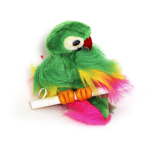 PA-PARROT-SMALL