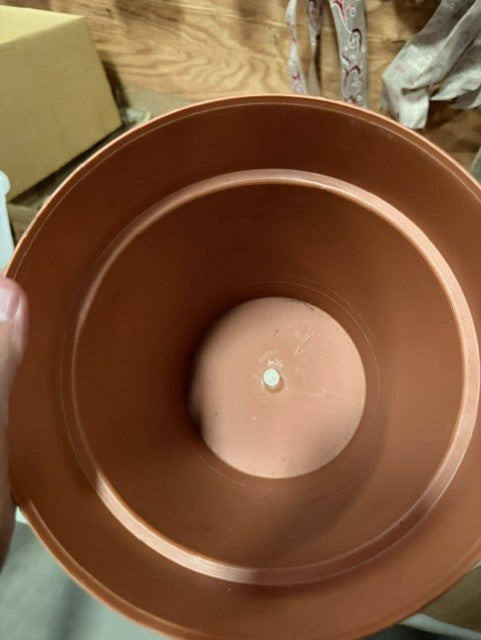 MISC 8" PLASTIC POTS